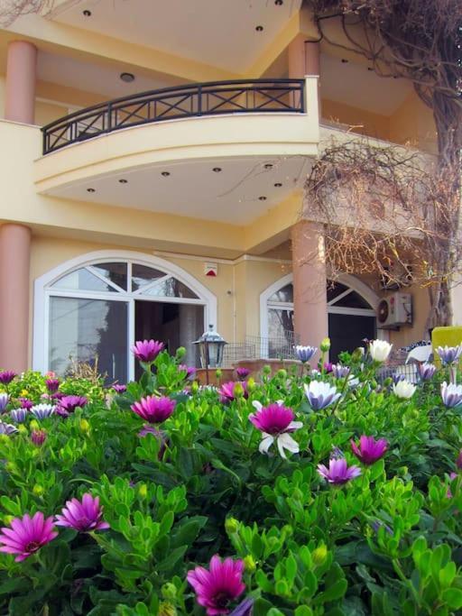 Lenico Beachfront Suites Agia Pelagia Exteriér fotografie